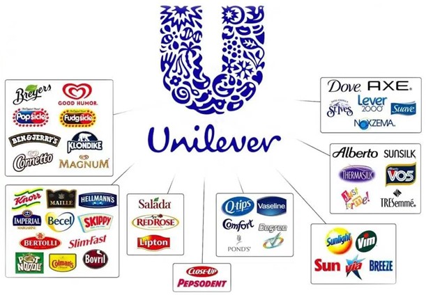 Diagram displaying the Unilever logo surrounded by its diverse portfolio of sub-brands like Dove, Lipton, and Knorr, illustrating a successful and complex brand architecture