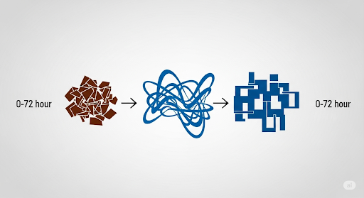 Timeline showing crisis phases from disorder to structured resolution within 0–72 hours.