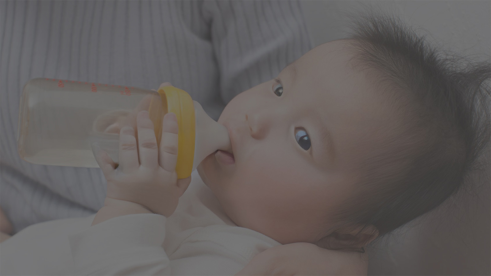 Campaign Tracking & Consumer Insight – Pigeon Vietnam